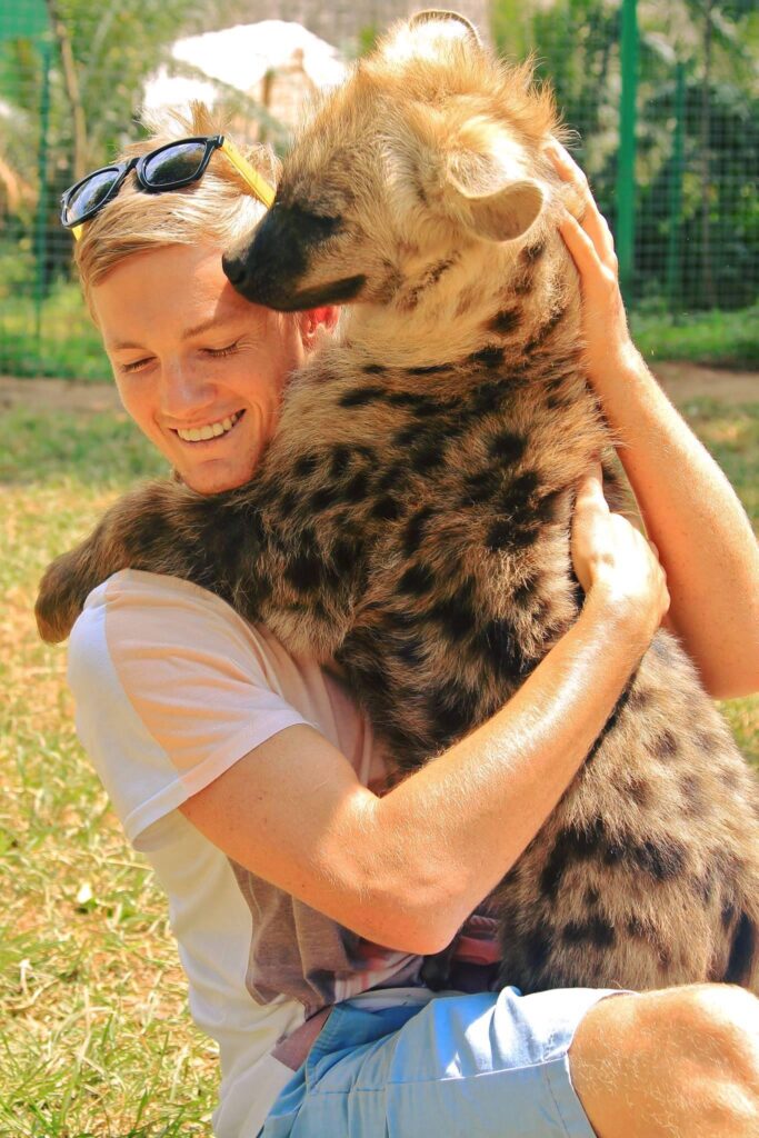 The Hoofermoo Project family enjoying a close up encounter with a hyena.
