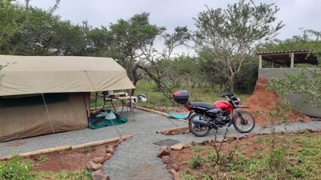 A temporary wild camp for The Hoofermoo Project to help rural businesses.